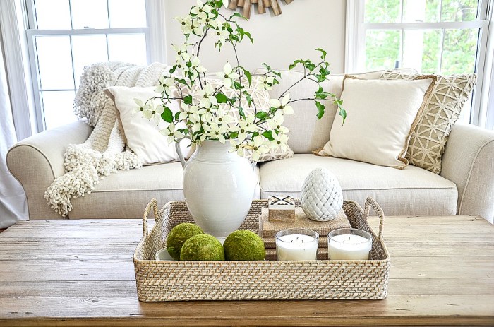 Coffee table tray decor ideas