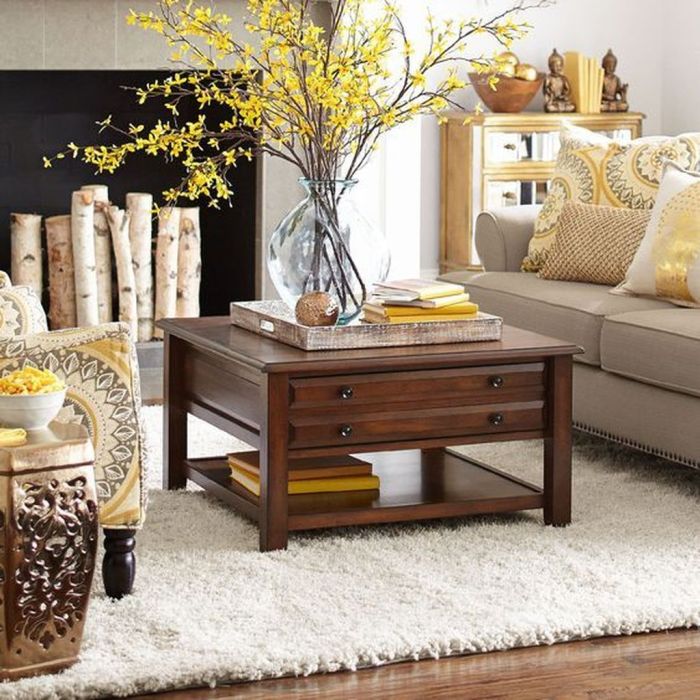 Living room coffee table decor ideas