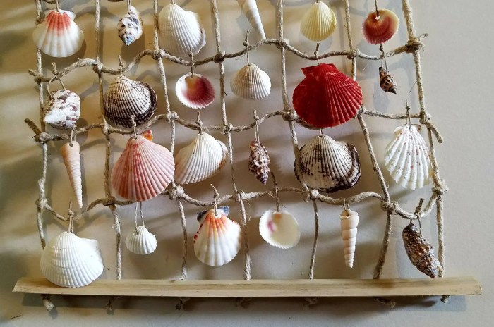 Sea shell wall decor