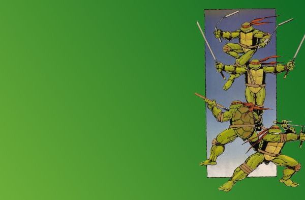 Ninja turtle wall decor