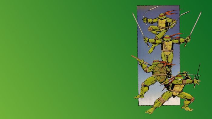 Ninja turtle wall decor