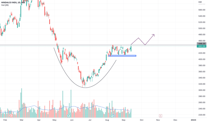 Hindalco industries ltd stock price