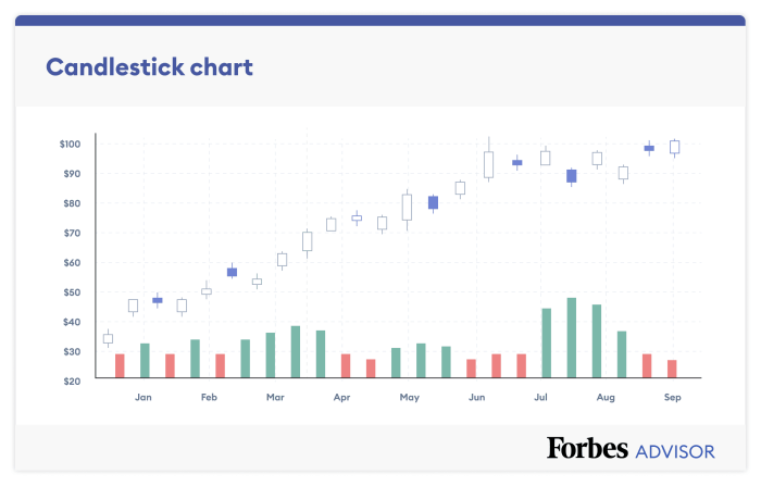 Nice stock price