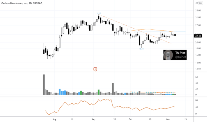 Crbu stock price