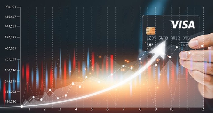 Visa company stock price