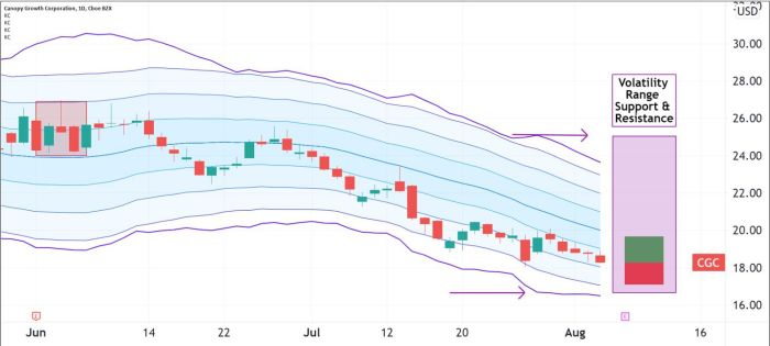 Stock price cgc